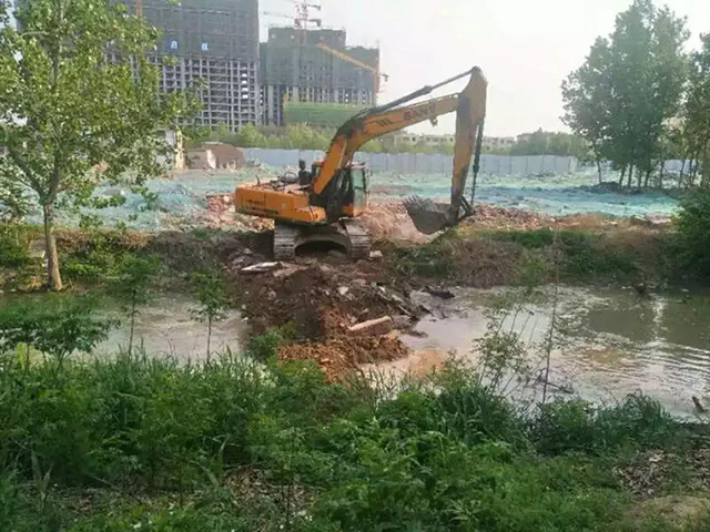 5.jpg 5.jpg
